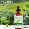 thumbnail image 2 of PURE Tea Tree Essential Oil | 100% Pure and Natural Tea Tree Oil 100ml, 2 of 5