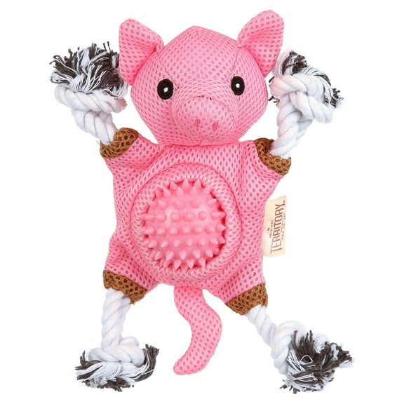 Farm & Friend 2-in-1 Toy, Pig