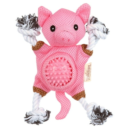Farm & Friend 2-in-1 Toy, Pig