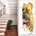 thumbnail image 1 of Aggressive Funny Dog in Brown - Animal Canvas Wall Art, 1 of 3