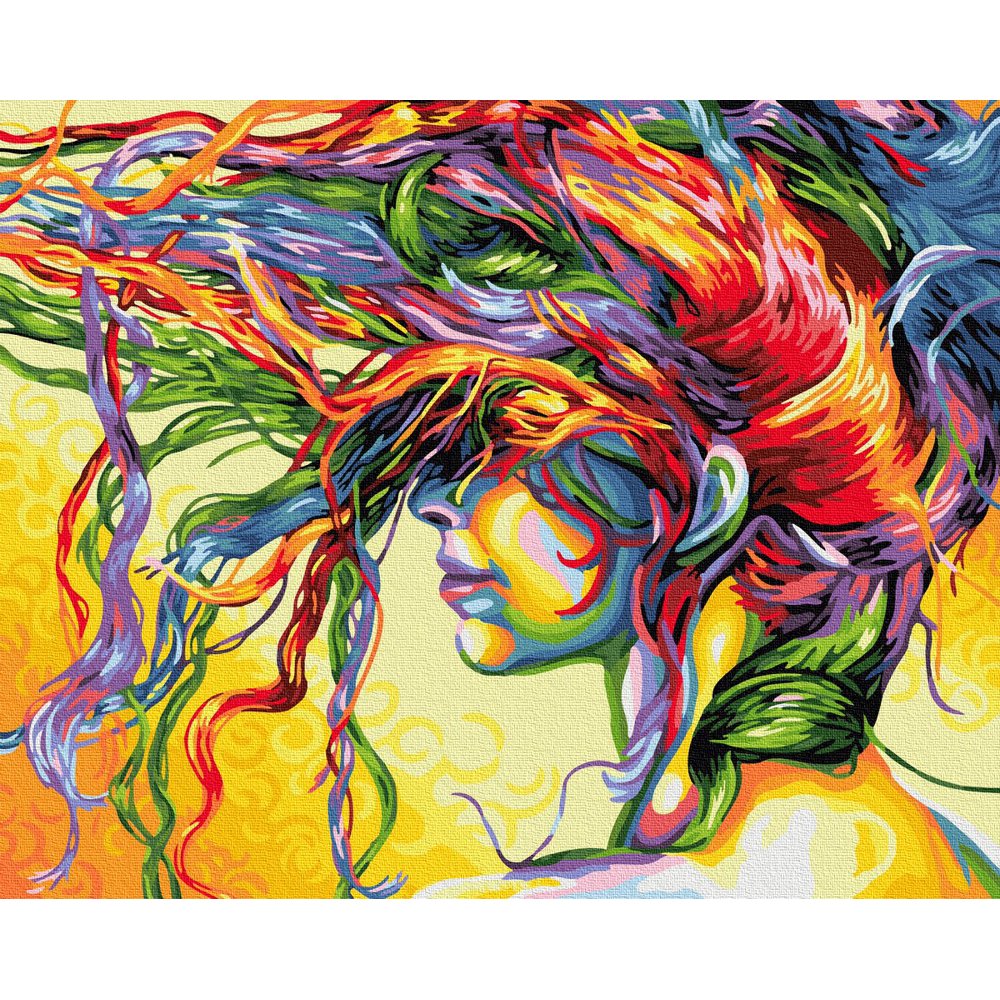 Appash Paint by Numbers DIY Acrylic Painting for Adults 16x20 inch