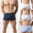 thumbnail image 1 of Underwear Mens Quick Drying Double Layer Light Vertical Stripe Print Underwear Black L, 1 of 3