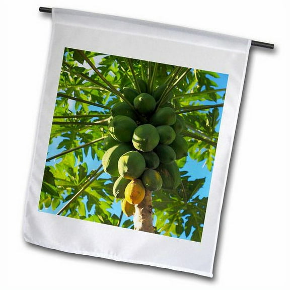 3dRose, Papaya tree, Melanesia, Fiji - OC01 DPB0543 - Douglas Peebles, 12 x 18 inch Garden Flag