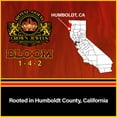 thumbnail image 4 of Royal Gold Crown Jewels Organic Bloom 1-4-2 Dry Soluble Fertilizer, 10 lbs, 4 of 7