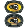 Lightning Audio Bolt 6" x 9" 225-Watt 3-Way Speaker, B2.69.3