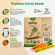 Organo Republic Imperator 58 Carrot Seeds – 1,800+ Non-GMO Heirloom Seeds, 2G Packet for Planting Vegetables Indoors & Outdoors, Sweet and Crisp Carrots for Home Garden