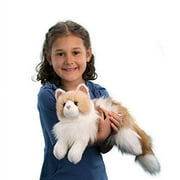 Douglas Toys Kiki Ragdoll Cat Plush Stuffed Animal Toy, 19