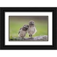 thumbnail image 1 of Barsh, Greg 14x10 Black Ornate Wood Framed with Double Matting Museum Art Print Titled - Friends, 1 of 4