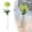 White, variant on Clearance Artificial flowers under $1,Dandelion Artificial Flowers Plants Bouquet Plastic Flower For Home Decoration/Wedding Decor