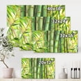thumbnail image 3 of Bright and Green Bamboo Stems 40 in x 30 in Painting Canvas Art Print, by Designart, 3 of 4