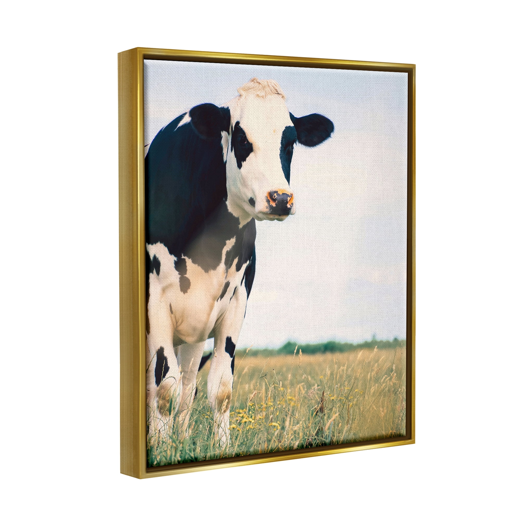 Stupell Industries Country Farm Cow Photography Animals & Insects Photography Gold Floater Framed Art Print Wall Art
