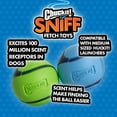 thumbnail image 6 of Chuckit! Sniff Fetch Ball Durable High Bounce Rubber Dog Toy, Peanut Butter & Bacon Scented, Medium 2.5" for Dogs 20 to 60 lb, Blue, Green & Blue, Pack of 2, 6 of 6