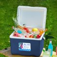 thumbnail image 3 of Portable 5L Insulated Cooler Box with Ice Packs, Outdoor Picnic/Camping Container, Leak-Proof Design, 3 of 7