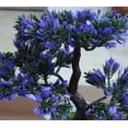thumbnail image 4 of Planta artificial en maceta Ganoderma Simulación Bonsai Árbol Plantas verdes al aire libre Decoración del hogar Sala Comedor Mesa Dormitorio Oficina Decoración Simulación Planta en maceta Pl, 4 of 5