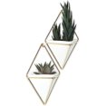 thumbnail image 1 of CHAO Macetero colgante geométrico y decoración de pared para plantas pequeñas, plantas suculentas y más, blanco/latón, juego de 2, 1 of 5