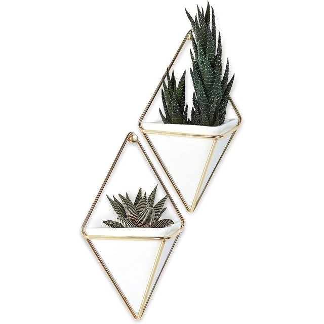 CHAO Macetero colgante geométrico y decoración de pared para plantas pequeñas, plantas suculentas y más, blanco/latón, juego de 2