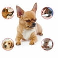 thumbnail image 5 of 60ml Pet Teeth Breath Cleaning Freshener Dog Spray Care Cleaner, Pet Supplies, 5 of 7