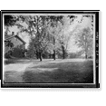 thumbnail image 2 of Historic Framed Print, Iowa State University, Farm House, Knoll Road Vicinity, Ames, Story County, IA - 2, 17-7/8" x 21-7/8", 2 of 9