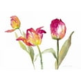 thumbnail image 3 of Loreth, Lanie 24x18 Black Modern Framed Museum Art Print Titled - Pink Hues Tulips, 3 of 5