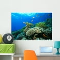 thumbnail image 1 of Coral Reef Wall Mural by Wallmonkeys Peel and Stick Graphic (36 in W x 24 in H) WM40630, 1 of 4