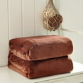 thumbnail image 5 of TIELUTT Border Plain Coral Velvet Blanket Solid Color Farai Velvet Blanket Cloud Velvet Bohemian Soft Blanket Heated Blanket Small Blanket Full Size Bed Throw Blanket Washable Sheet Blanket, 5 of 5