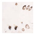 thumbnail image 2 of Guanábana por kilo, 2 of 3
