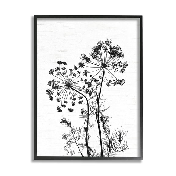 Stupell Industries Varied Botanical Herbs Casual Wildflower Birch Pattern Graphic Art Black Framed Art Print Wall Art, Design by Lettered and Lined