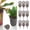 A #68, variant on 10-Pack Fertilizer Baskets with Lids,Mini Slow Release Fertilizer Containers for Bonsai Orchid Plants,Root Control Fertilization Box for Home Garden