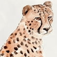 thumbnail image 2 of Warren, Annie 12x12 White Modern Wood Framed Museum Art Print Titled - Saharan Cheetah II, 2 of 4