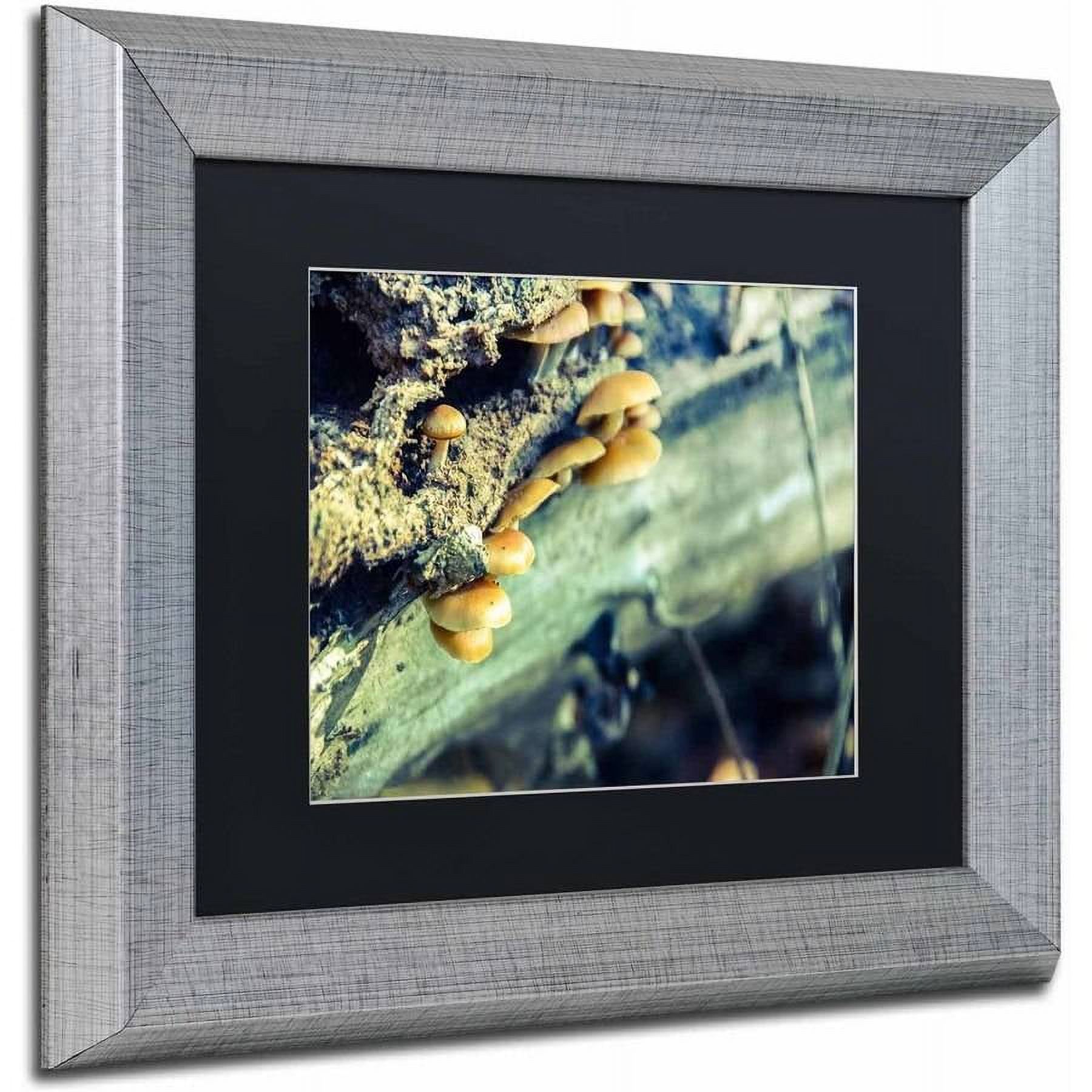 Trademark Fine Art 'Aged Mushroom' Canvas Art by PIPA Fine Art, Black Matte, Black Frame