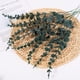 thumbnail image 1 of Hoja de eucalipto individual, hoja de dinero, decoración de boda, simulación de planta verde, flor artificial de eucalipto, 1 of 5