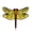 Orange, variant on Dragonfly Enamel Pin | Clayton Jewelry Labs