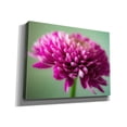 thumbnail image 2 of Epic Graffiti 'Mums The Word' by Pamela Plummer, Canvas Wall Art, 16"x12", 2 of 8