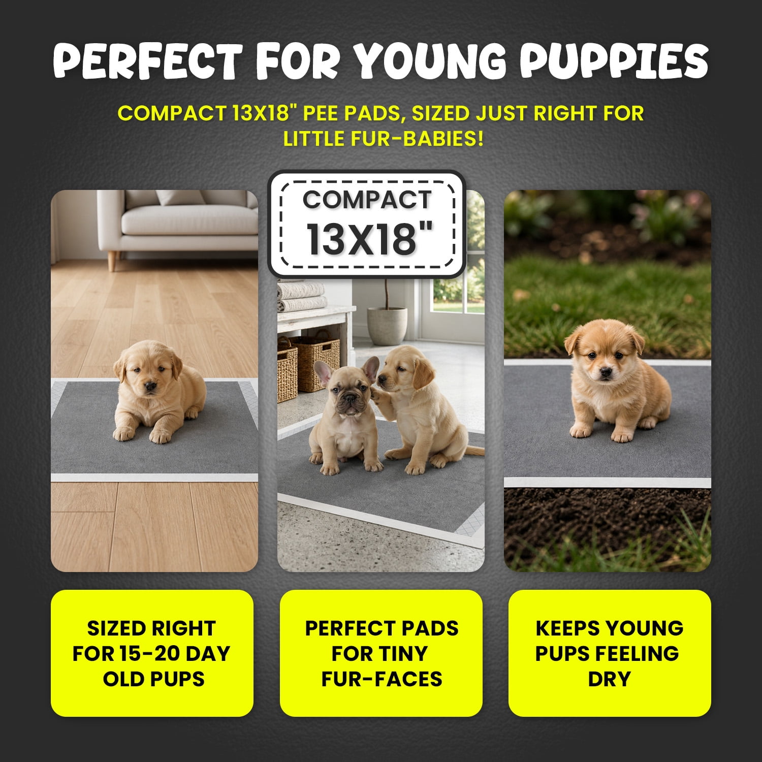 FPN Puppy Pads for Dogs 100 Count Charcoal Small 13X18 Inch | Disposable Pee Pads for Puppies & Small Dogs | Pet Training Pads for Potty Training, Small Dog Pee Pads, Puppy Pads Bulk