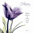 thumbnail image 2 of Koetsier, Albert 26x26 White Modern Wood Framed Museum Art Print Titled - Tulip Heaven, 2 of 4