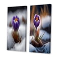 thumbnail image 3 of Designart "First Crocus of Spring Blooming I" Floral Crocus Wall Art Set Of 2 - Traditional Purple Canvas Set For Living Room Decor, 3 of 6