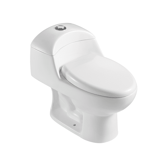 DAX Oval Toilet with Soft Closing Seat and High-Efficiency Dual Flush, White