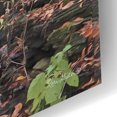 thumbnail image 3 of Epic Art 'Waterfall Steps at Pigeon Run' by Lori Deiter Acrylic Glass Wall Art, 16"x12", 3 of 8