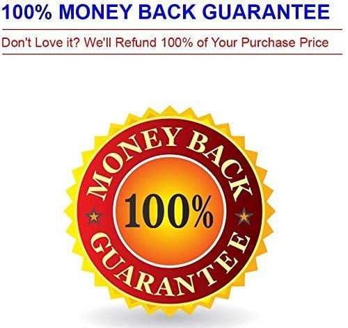 ray squad nerf darts