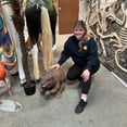 thumbnail image 3 of Beaver Life Size Statue, 3 of 7