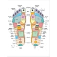 thumbnail image 2 of Art.com Reflexology Foot Map, Artwork Stretched Canvas Print Wall Art by Peter Gardiner, 24" x 32", 2 of 4
