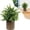 A, variant on 1PC Artificial Potted Plants, Realistic Faux Greenery in Cement Pots for Home Office Desk Bookshelf Decor, Small Fake Plants for Indoor Tabletop Decoration