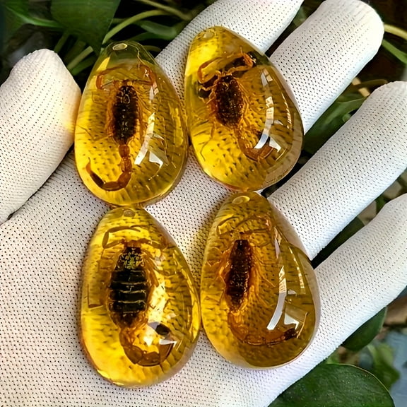 8 amber fossil samples, stone crystal specimens, home decoration collection, oval pendants, Christmas gifts, birthday gifts