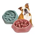thumbnail image 1 of VariadoPlato Comedero Alimentación Lenta Para Perro Antideslizante esquí esquí Gafas de esquí, 1 of 5