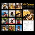 thumbnail image 2 of 2026 Monthly Wall Calendar, Cute Dachshund Hanging 2026 Calendar for Wall 12 Month, 8 Inch * 11 Inch Open | Plastic-Free | Thick & Sturdy Paper | Animals Dog Breeds Puppy, 2 of 7