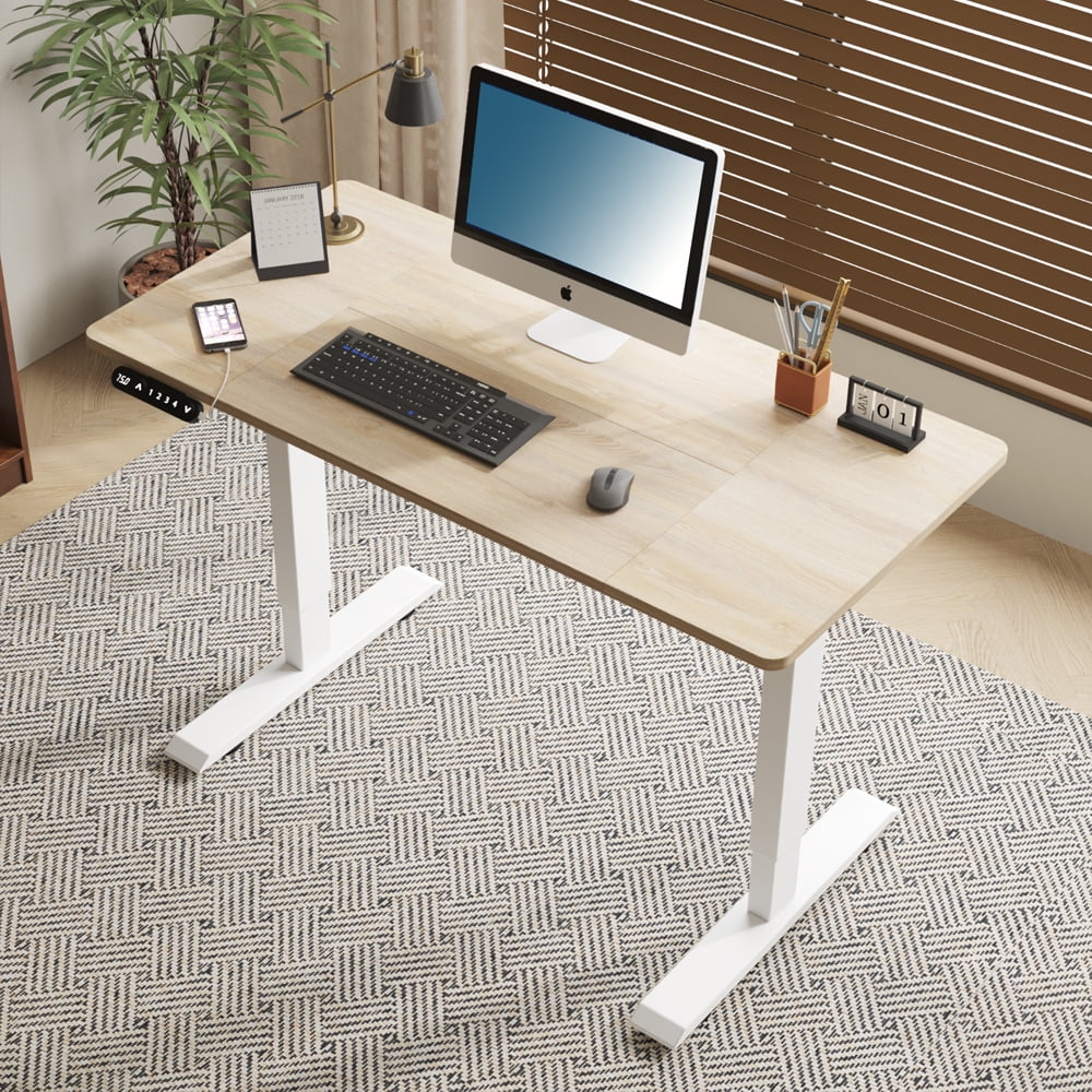 55" x 24" Black & Brown Electric Standing Desk, Height Adjustable Sit Stand Desk with Type-C Port for Home Office