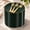 Emerald Green Gold, variant on 200Pcs Black and Gold Dessert Plates 6.3" with 100 Plastic Forks 5" - Small Disposable Cake, Appetizer Plates for Party, Birthday, Tea Events