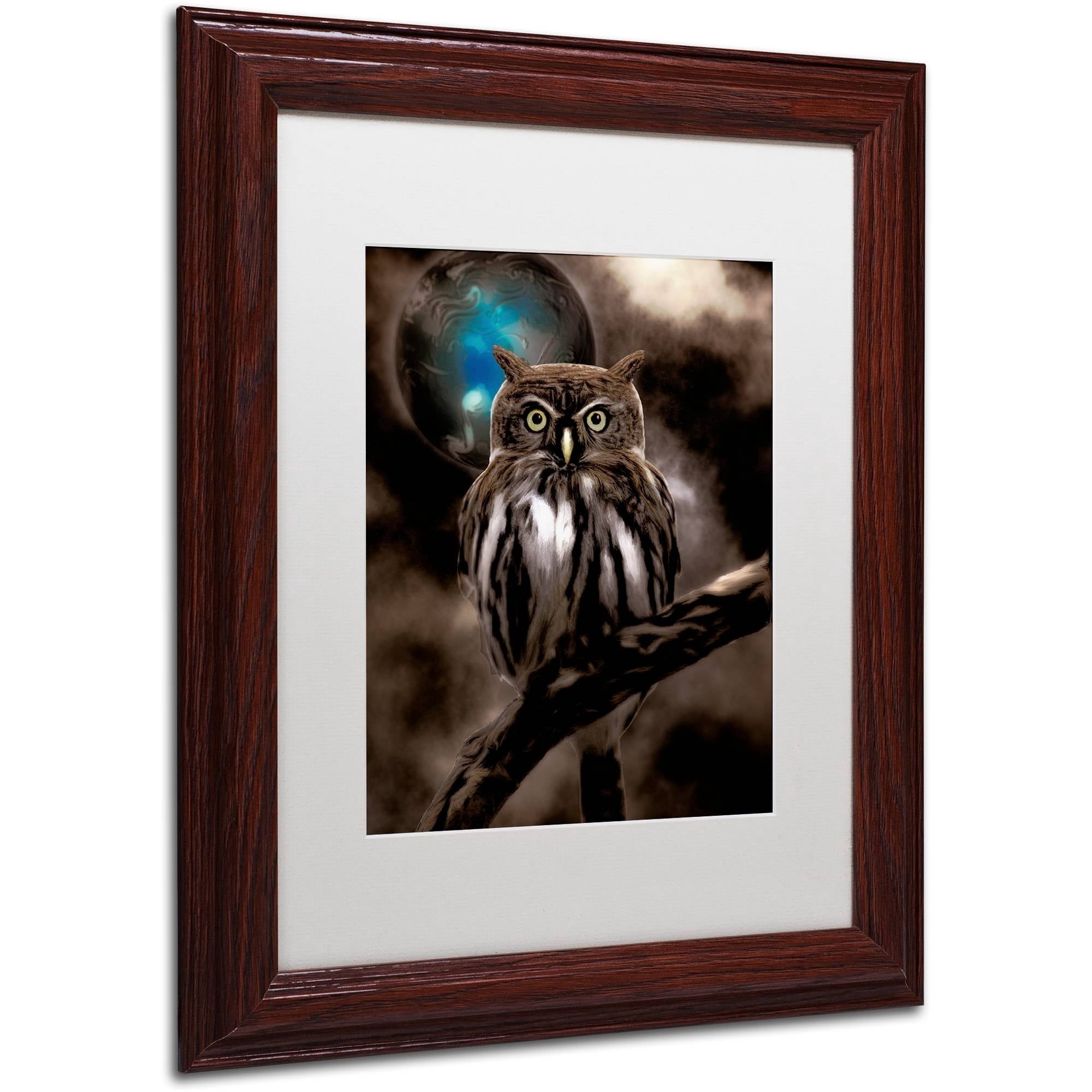 Trademark Fine Art "Night Owl" Canvas Art by Color Bakery White Matte, Wood Frame