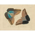 thumbnail image 2 of Stellar Design Studio 18x15 Black Ornate Wood Framed with Double Matting Museum Art Print Titled - Vintage Butterflies 2, 2 of 4