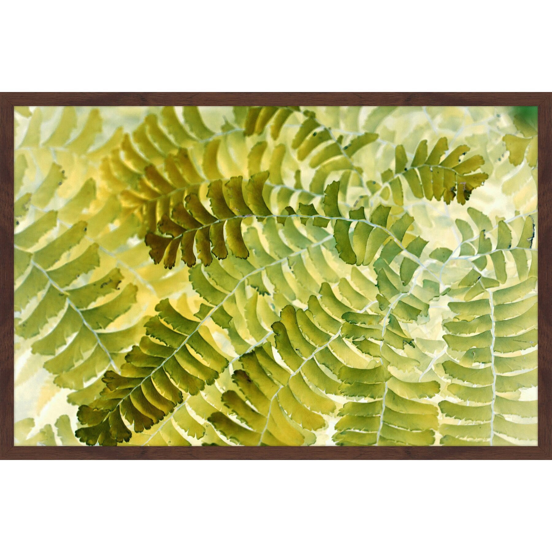 "Fern Fantasy II" Framed Painting Print